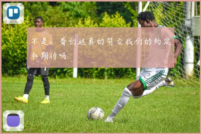 不是，哥们这真的符合我们的约定和期待吗
