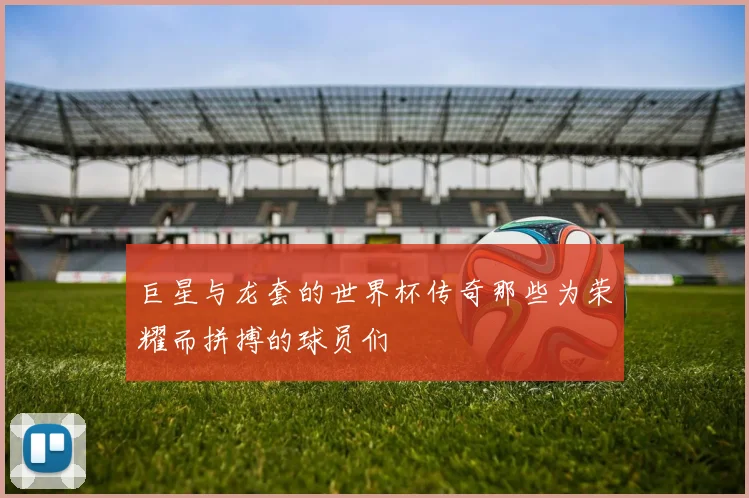巨星与龙套的世界杯传奇那些为荣耀而拼搏的球员们